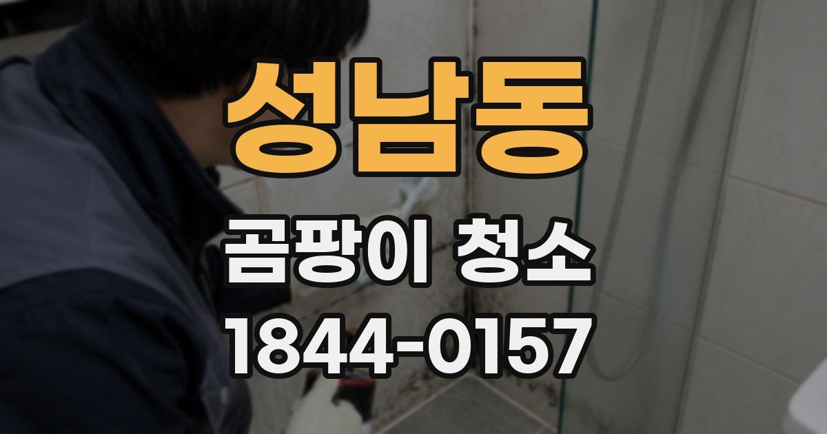 성남동 곰팡이 청소