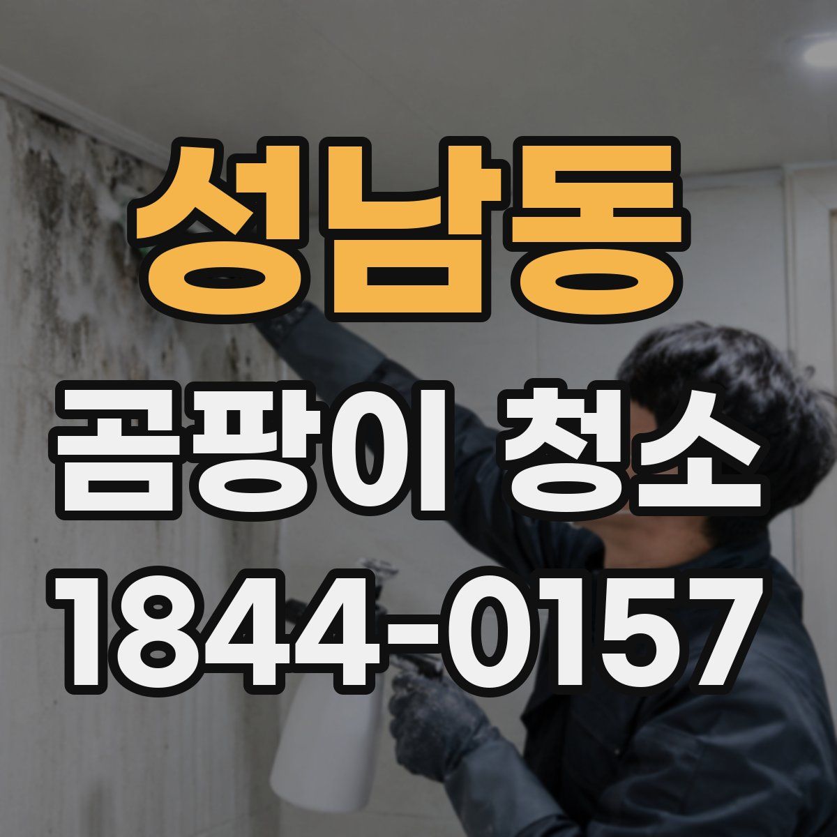 성남동 곰팡이 청소