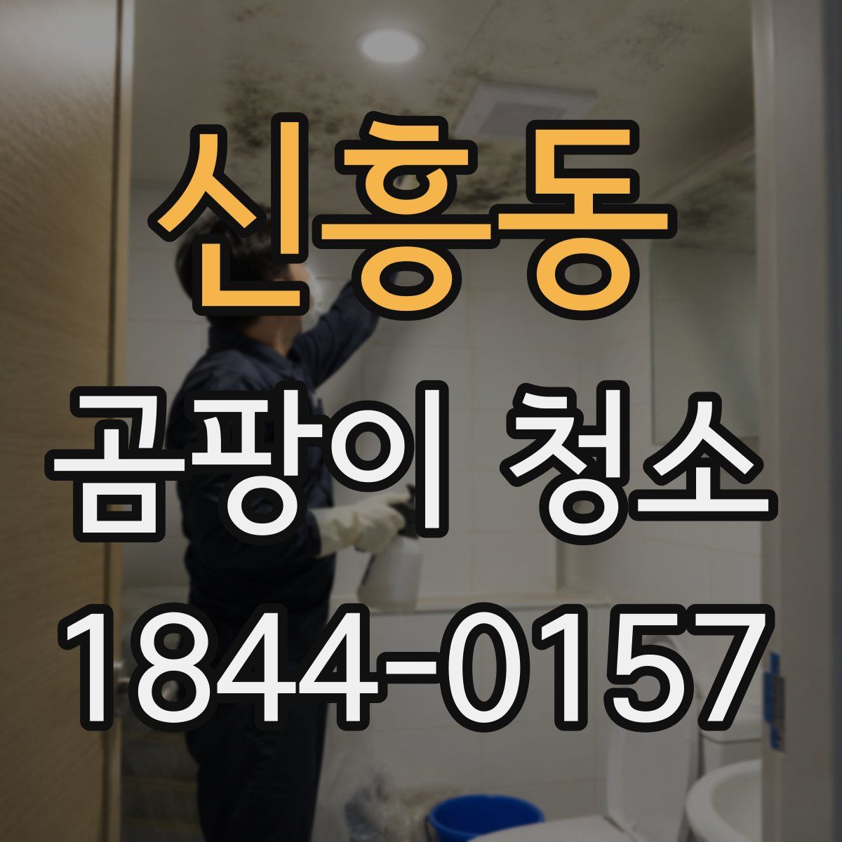 신흥동 곰팡이 청소