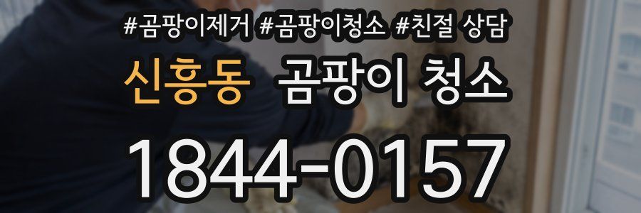 신흥동 곰팡이 청소