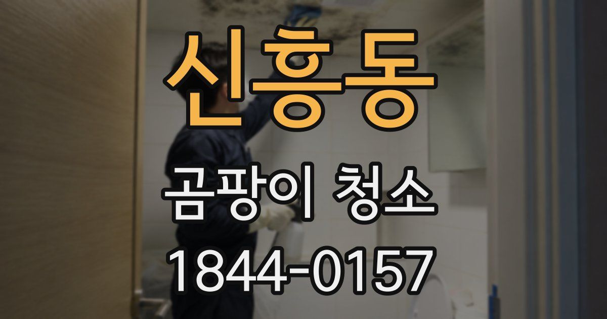 신흥동 곰팡이 청소