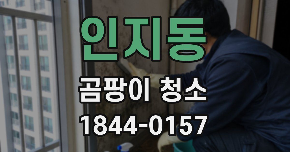 인지동 곰팡이 청소