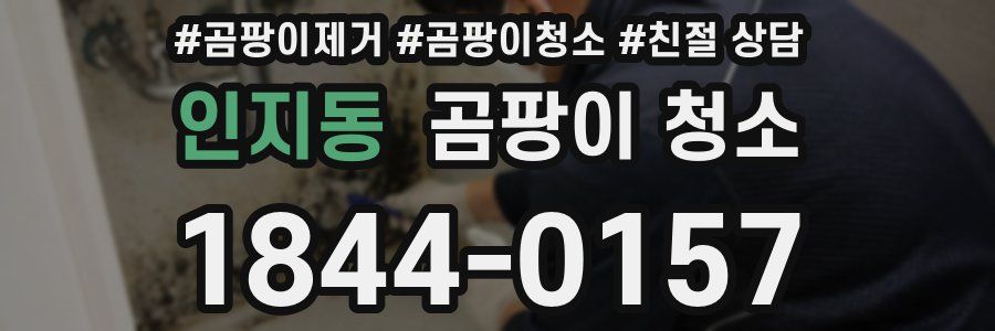 인지동 곰팡이 청소