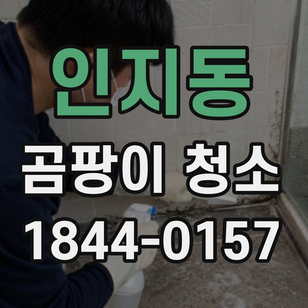 인지동 곰팡이 청소