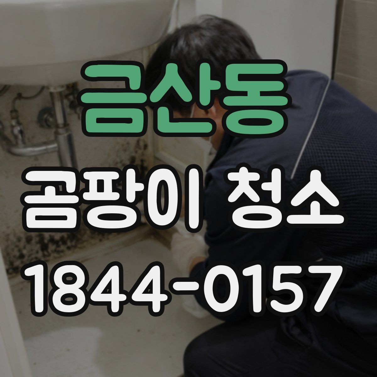 금산동 곰팡이 청소 비용 상담 시 물어볼 핵심 질문