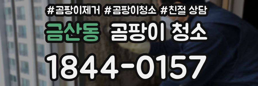 금산동 곰팡이 청소