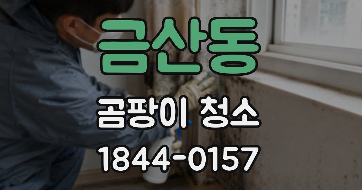 금산동 곰팡이 청소