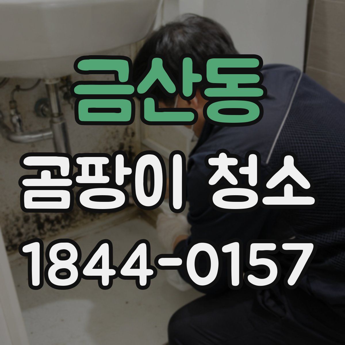 금산동 곰팡이 청소
