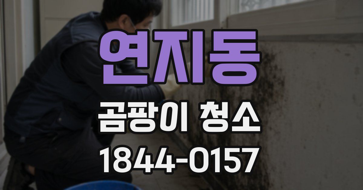 연지동 곰팡이 청소