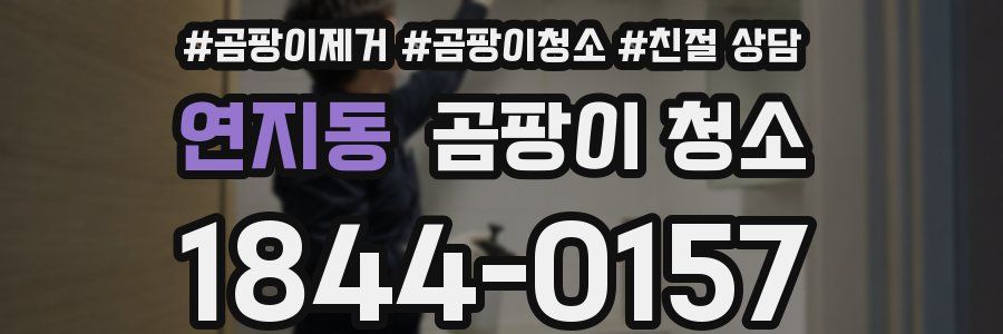 연지동 곰팡이 청소