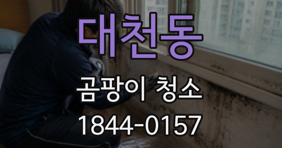 대천동 곰팡이 청소