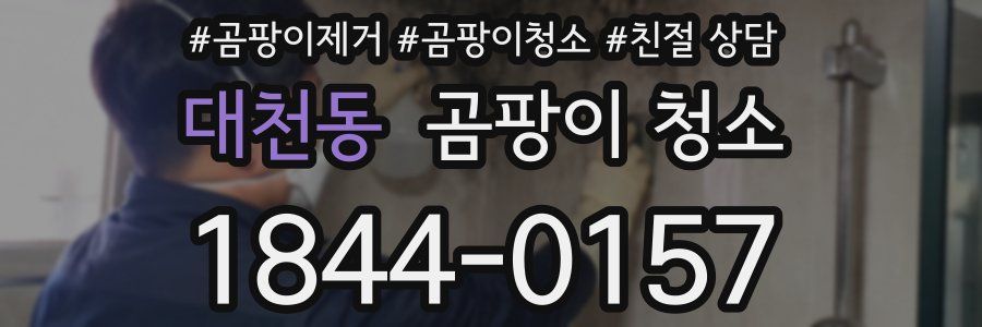 대천동 곰팡이 청소