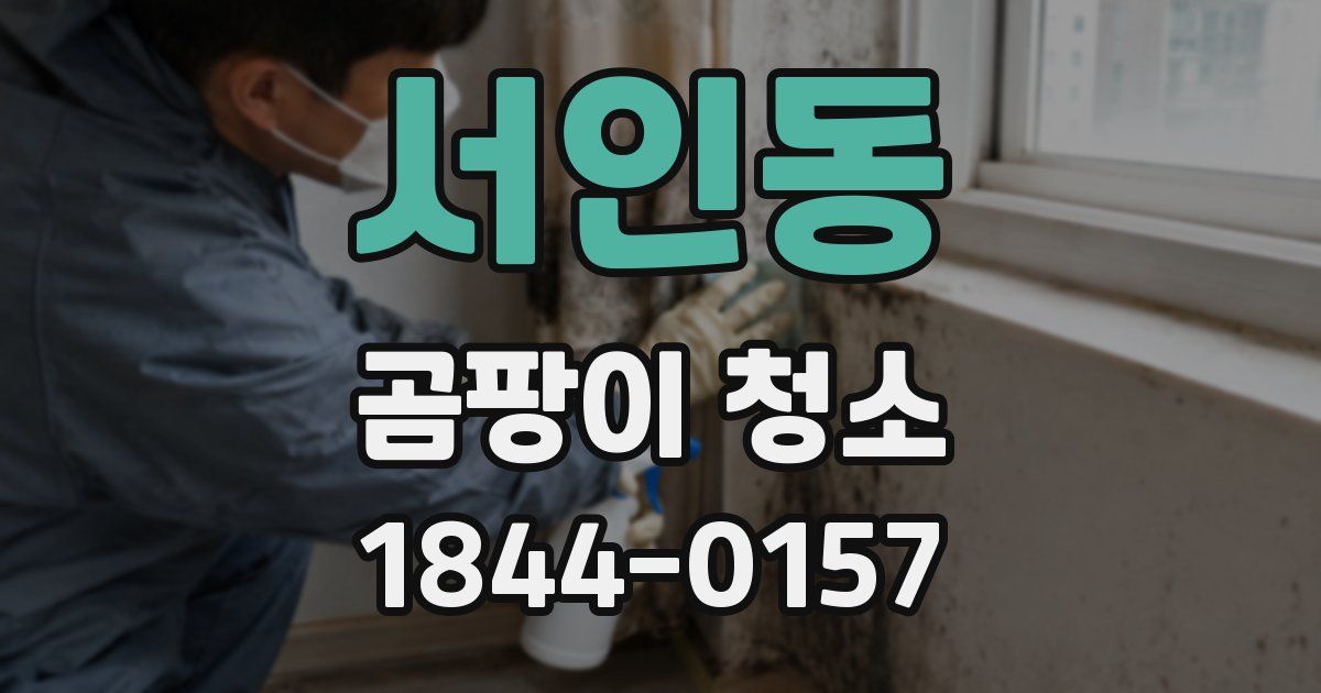 서인동 곰팡이 청소