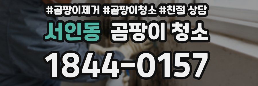 서인동 곰팡이 청소