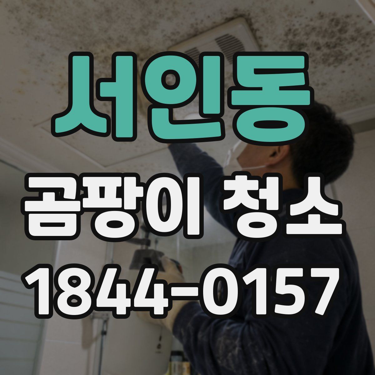 서인동 곰팡이 청소