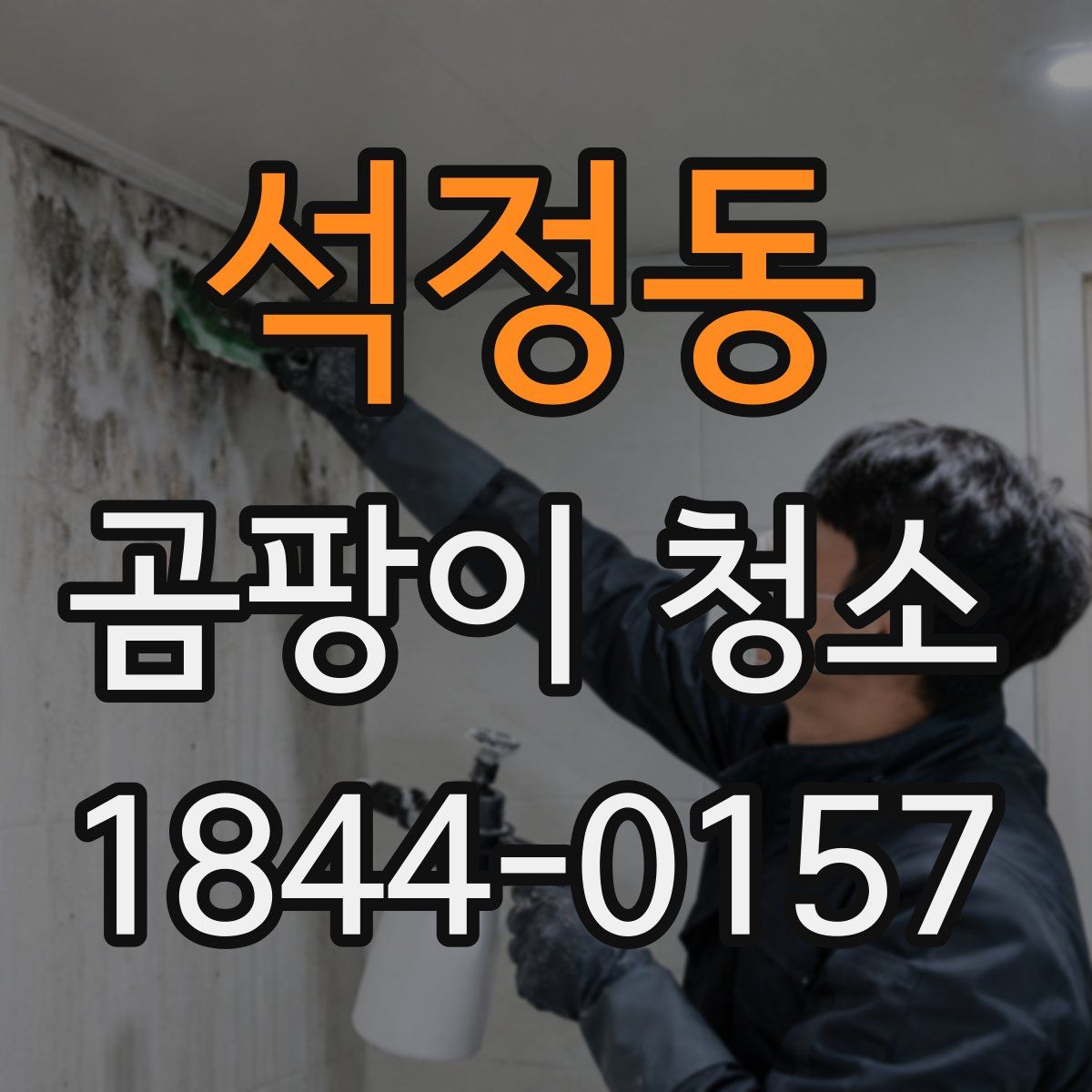 석정동 곰팡이 청소