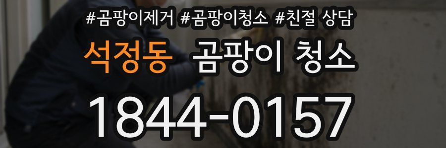 석정동 곰팡이 청소