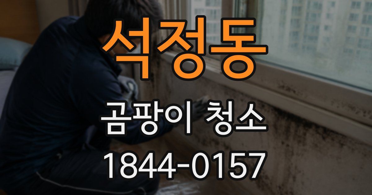 석정동 곰팡이 청소