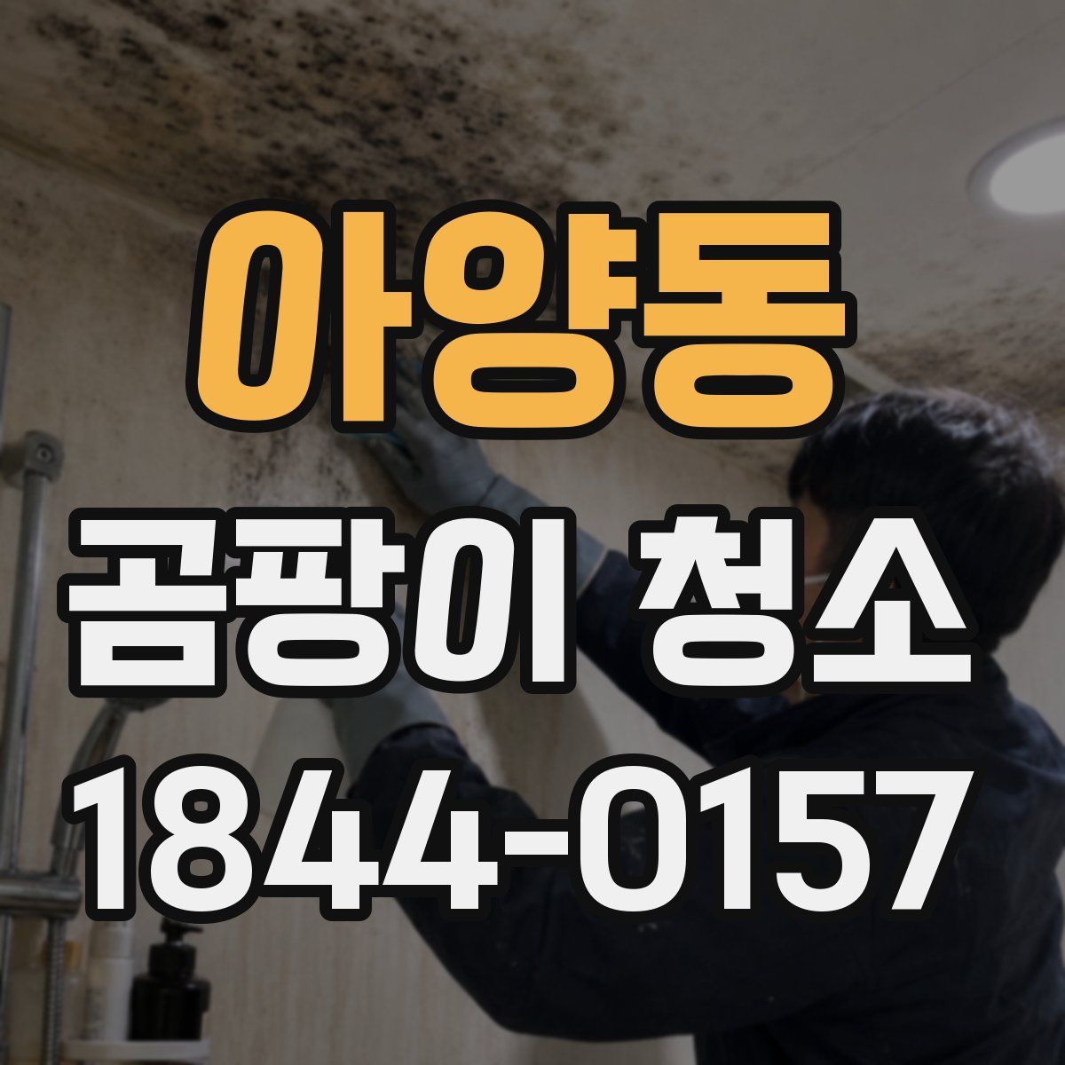 아양동 곰팡이 청소