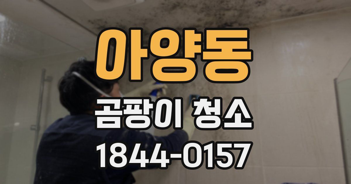 아양동 곰팡이 청소