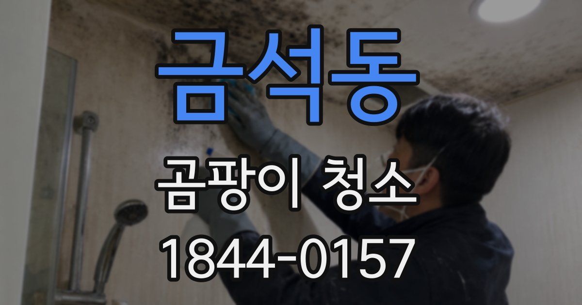 금석동 곰팡이 청소