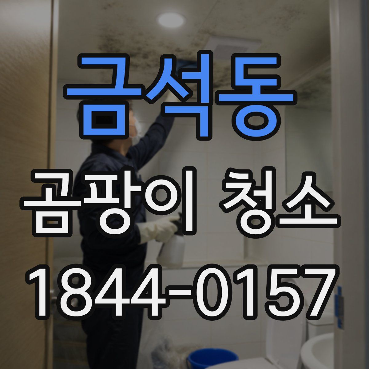 금석동 곰팡이 청소