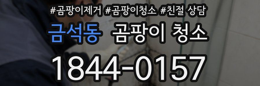 금석동 곰팡이 청소