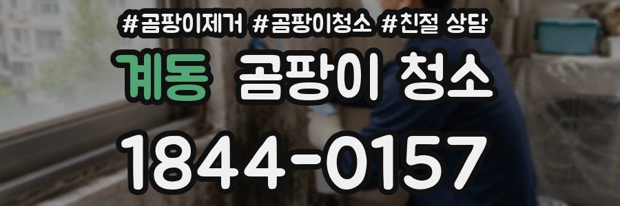 계동 곰팡이 청소