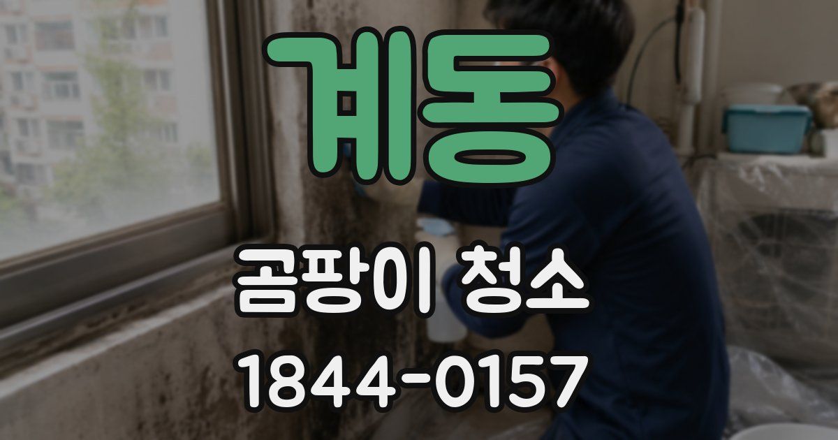 계동 곰팡이 청소