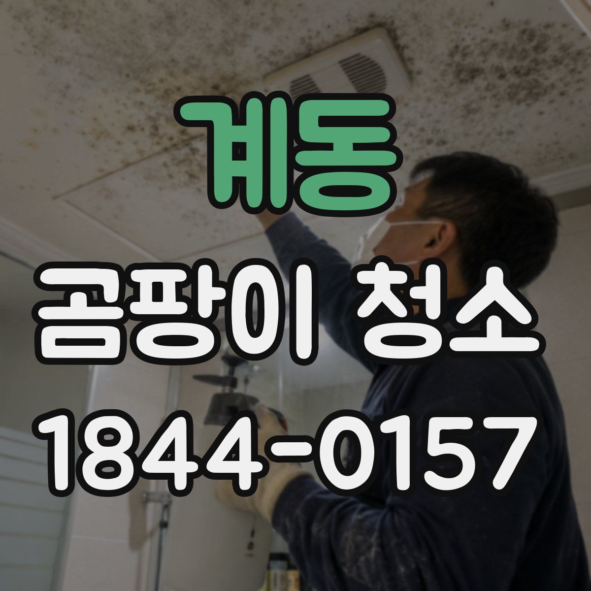 계동 곰팡이 청소