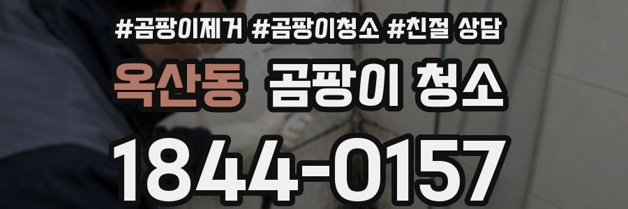 옥산동 곰팡이 청소