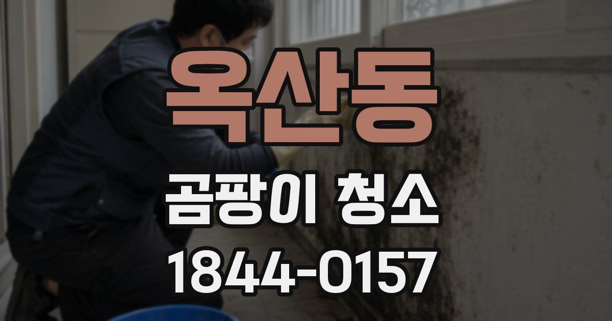 옥산동 곰팡이 청소