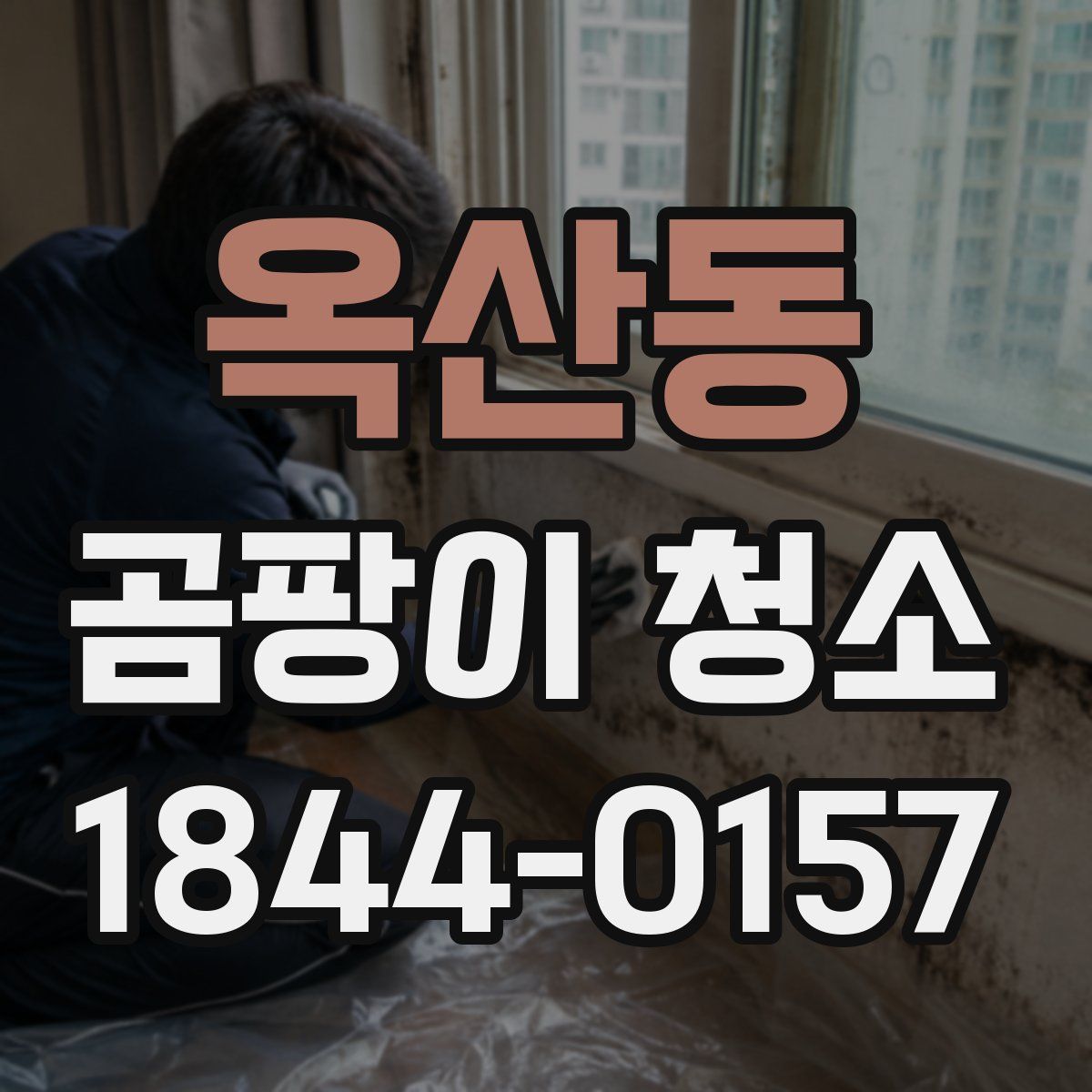 옥산동 곰팡이 청소