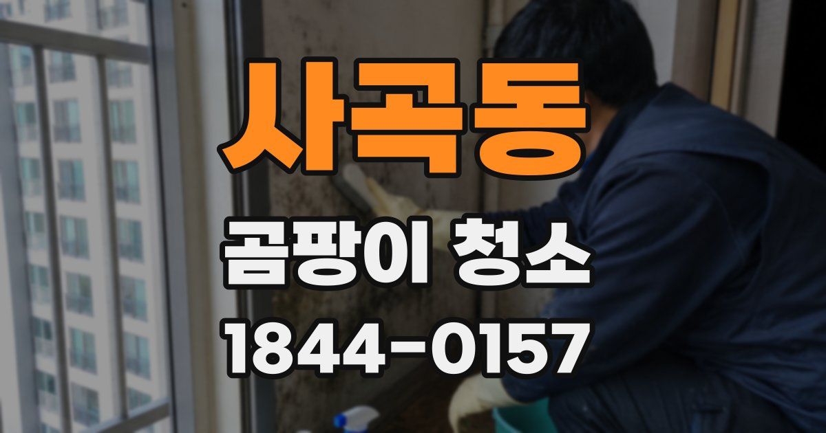 사곡동 곰팡이 청소