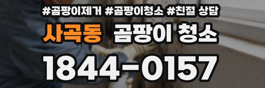 사곡동 곰팡이 청소
