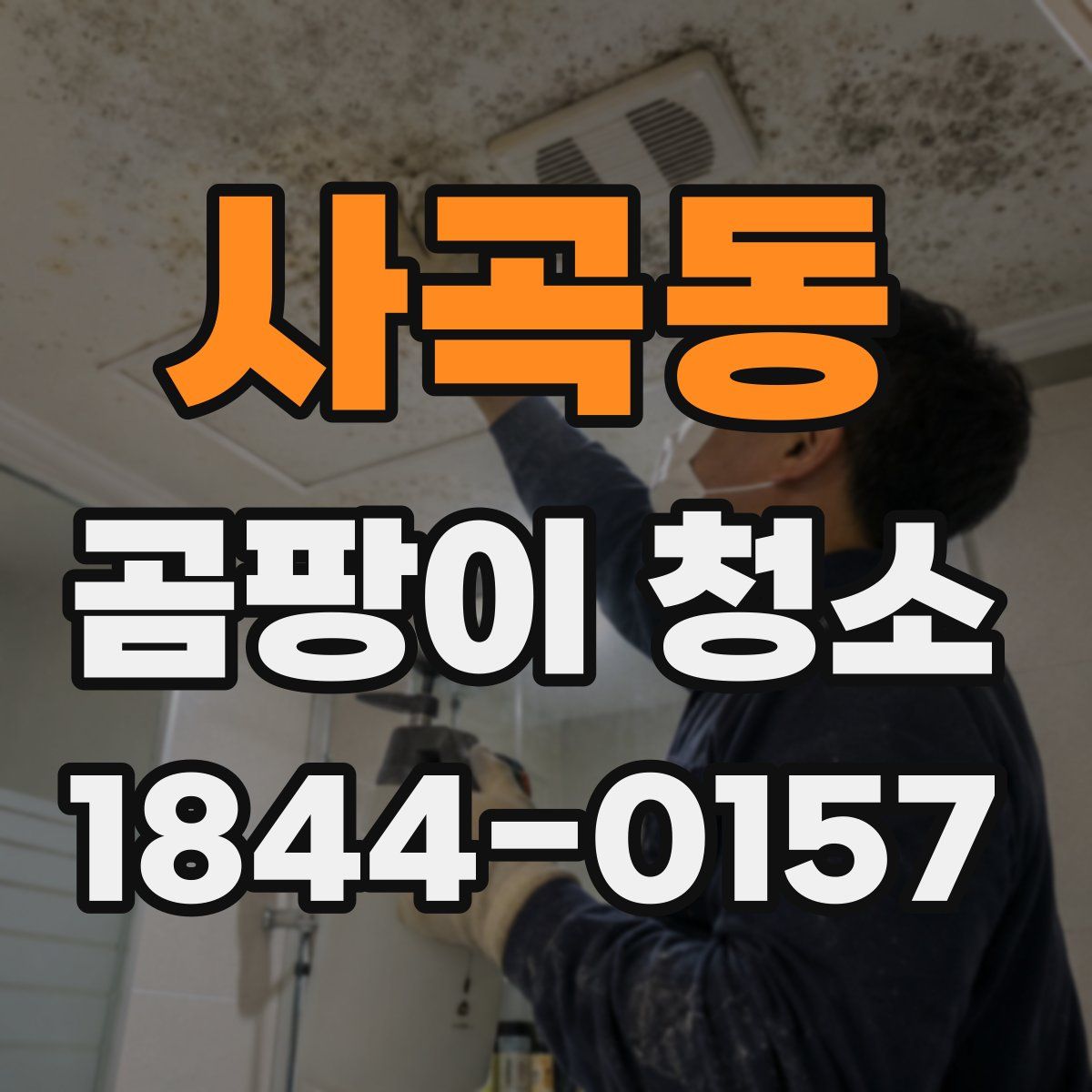사곡동 곰팡이 청소
