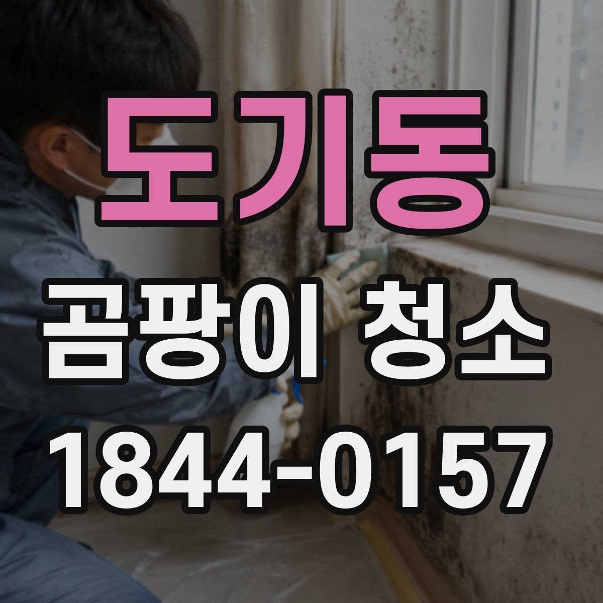 도기동 곰팡이 청소 전후 놓치지 말아야 할 포인트 한눈에 보기