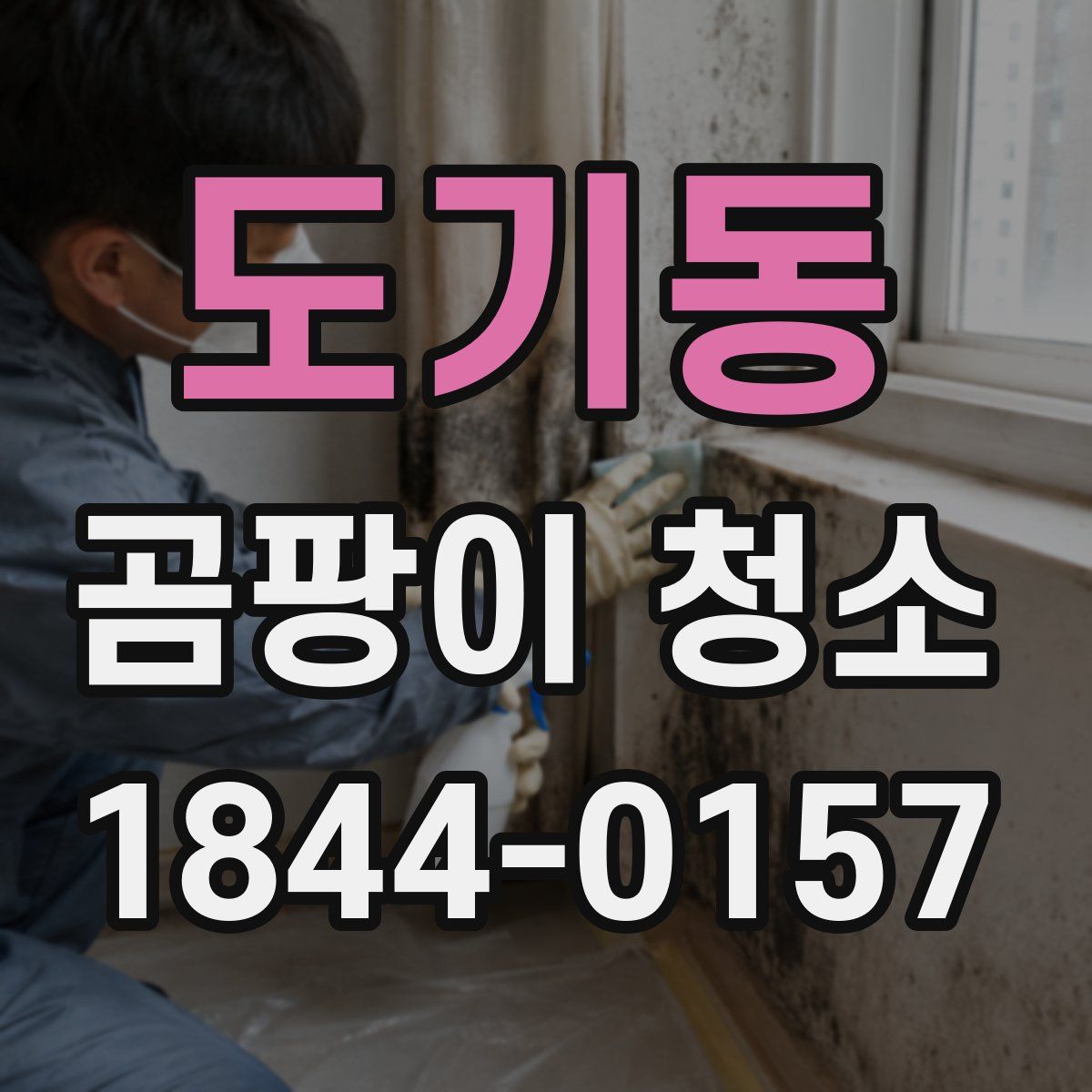 도기동 곰팡이 청소