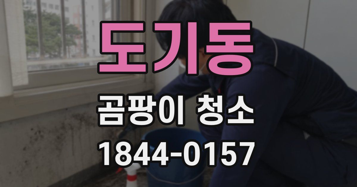 도기동 곰팡이 청소