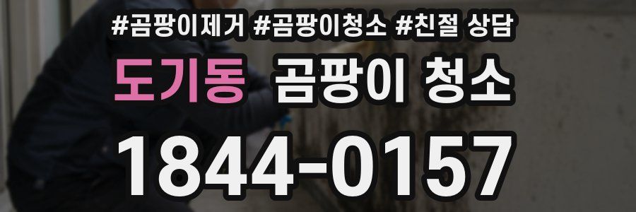 도기동 곰팡이 청소