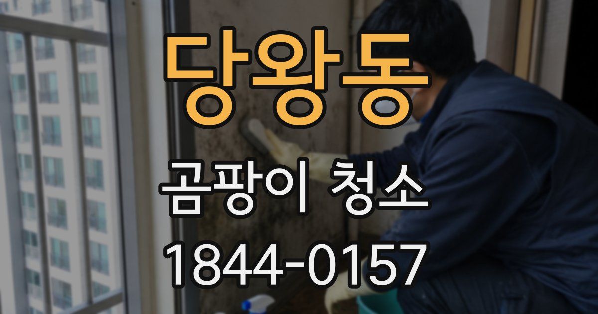 당왕동 곰팡이 청소