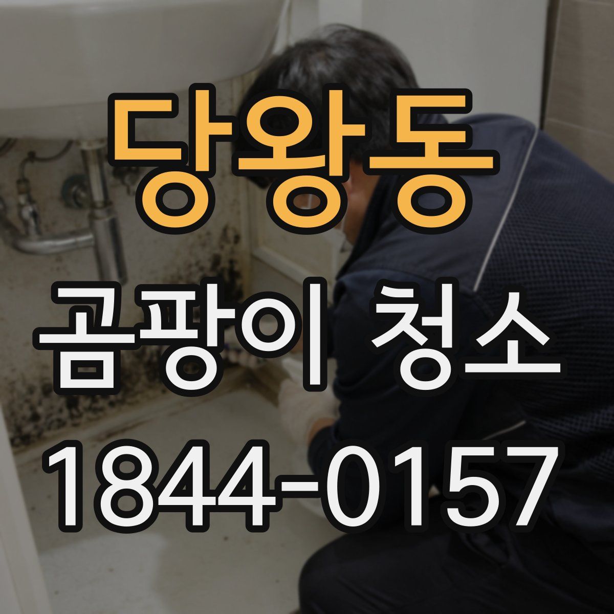 당왕동 곰팡이 청소