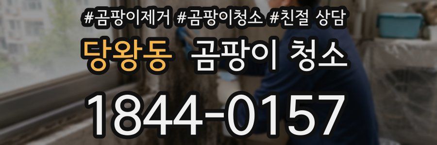 당왕동 곰팡이 청소