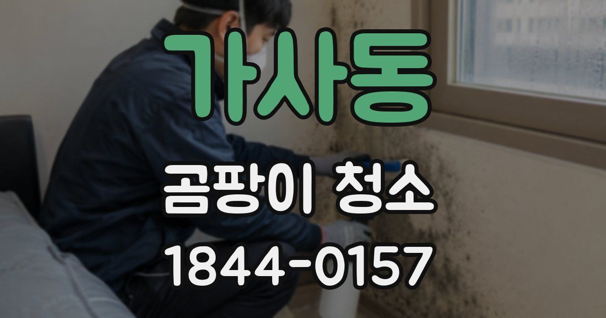 가사동 곰팡이 청소
