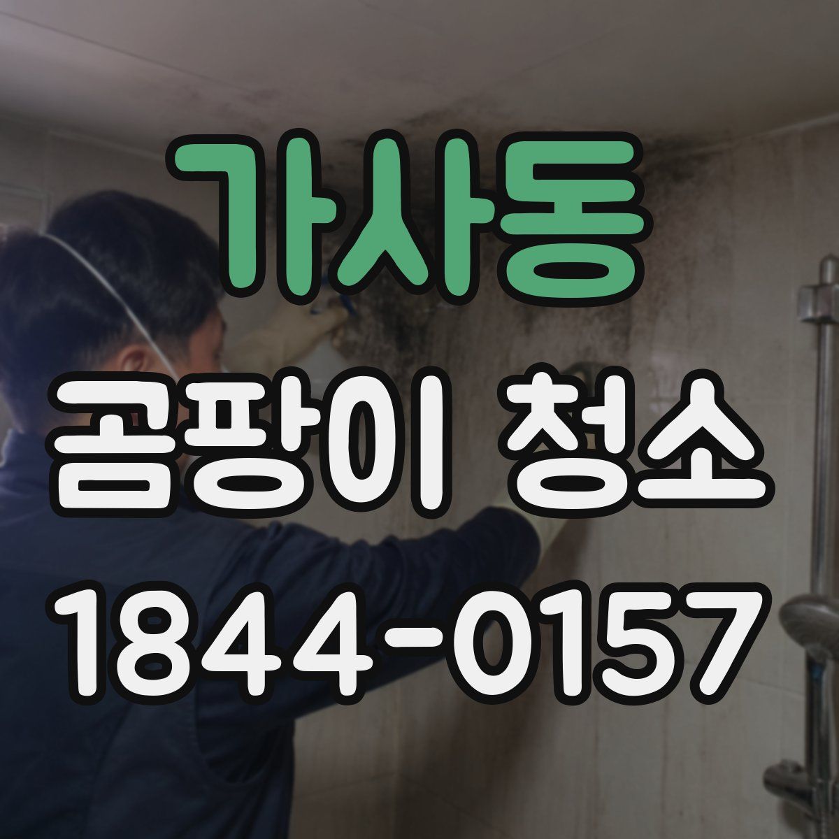 가사동 곰팡이 청소