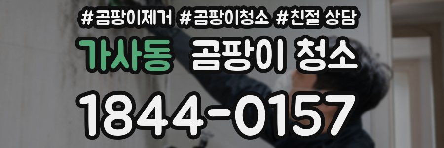 가사동 곰팡이 청소