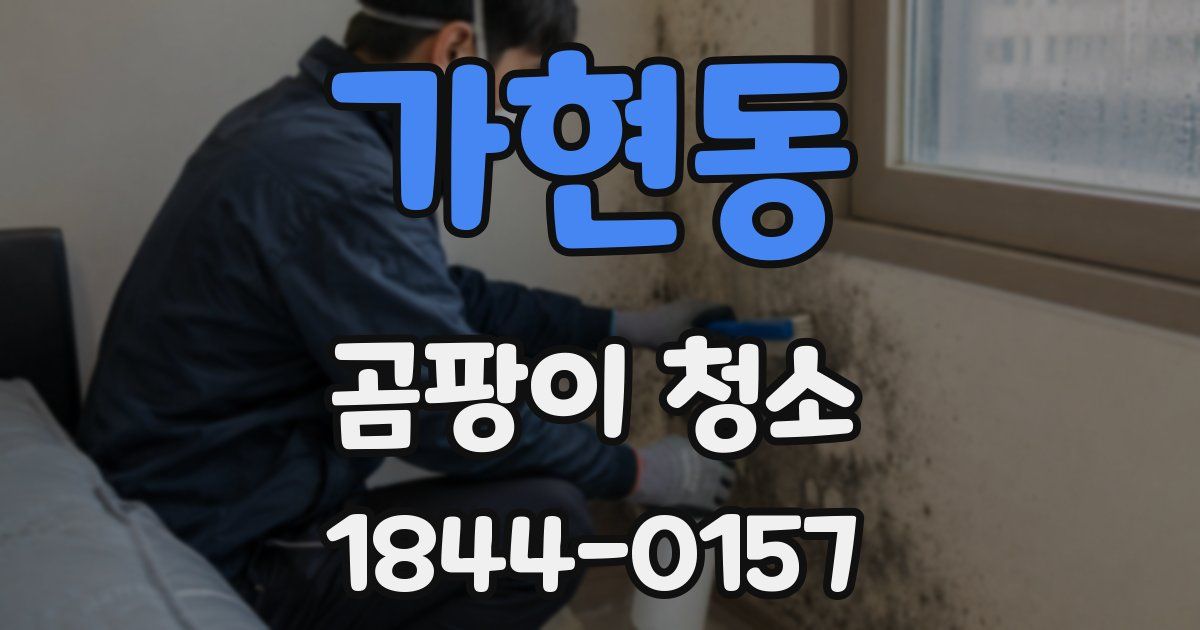 가현동 곰팡이 청소