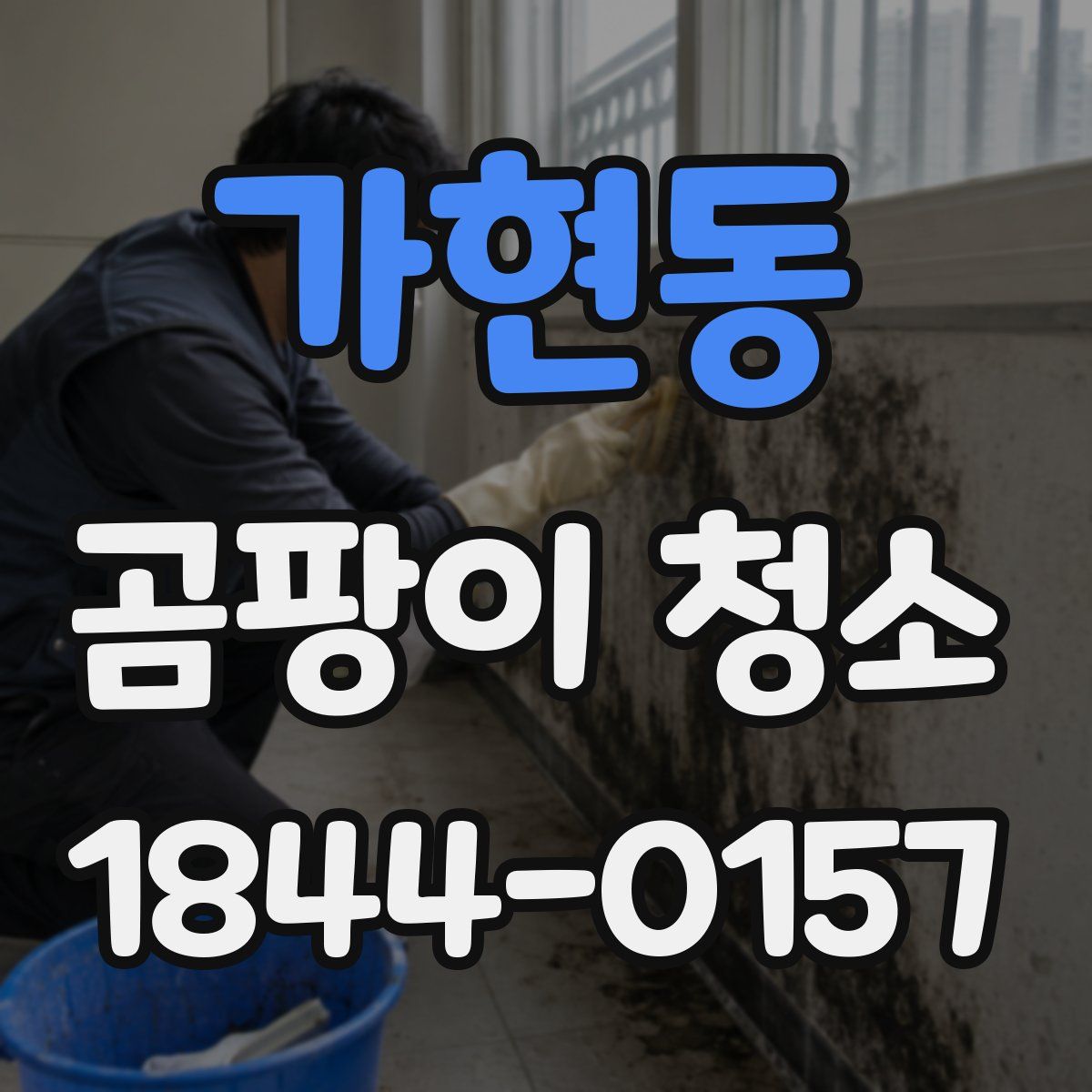 가현동 곰팡이 청소