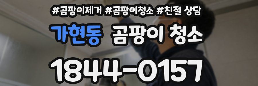 가현동 곰팡이 청소