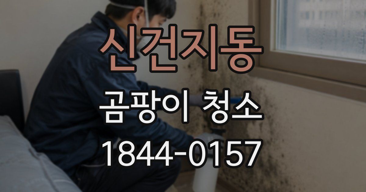 신건지동 곰팡이 청소